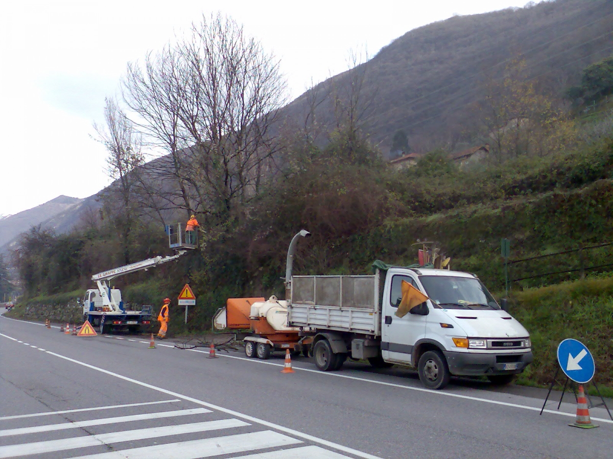 Cantiere stradale di potatura        