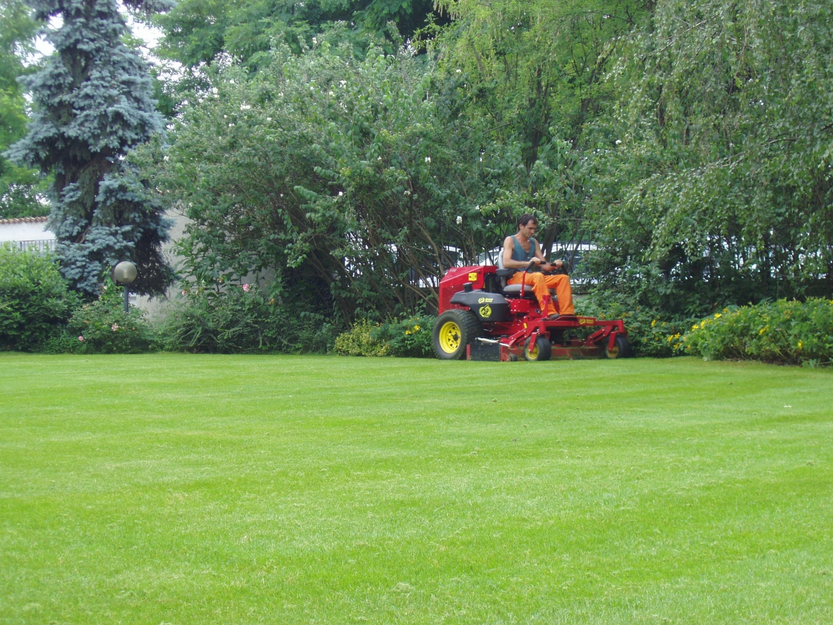 Manutenzione giardino sede        
